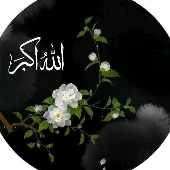 Nayab  Fatimah